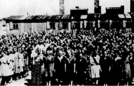 В сердцевине ада: Записки, найденные в пепле возле печей Освенцима