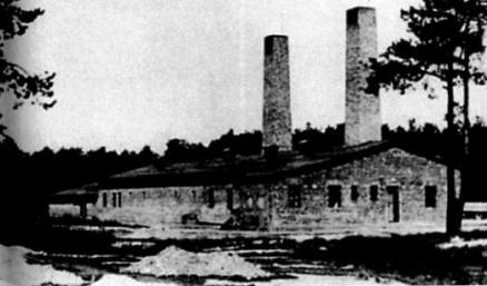 В сердцевине ада: Записки, найденные в пепле возле печей Освенцима