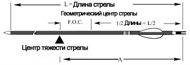 Стрельба из лука для начинающих