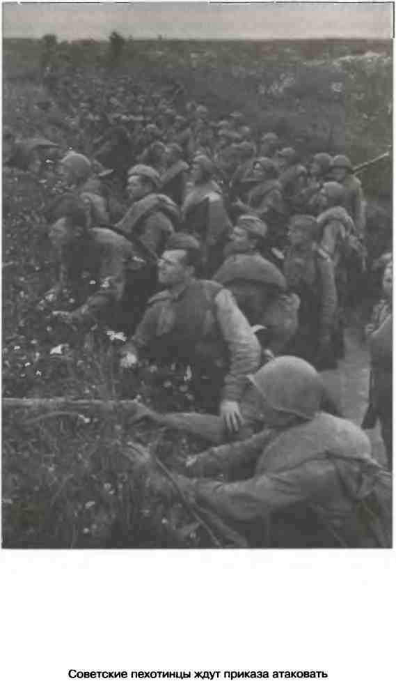 Освобождение 1943. «От Курска и Орла война нас довела...»