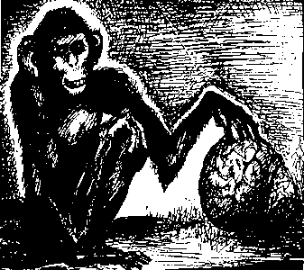 Homo amphibolos. Человек двусмысленный Археология сознания