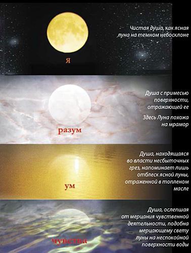 Уровни сознания. Размышления