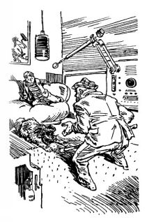 Приключения Электроника (С иллюстрациями)