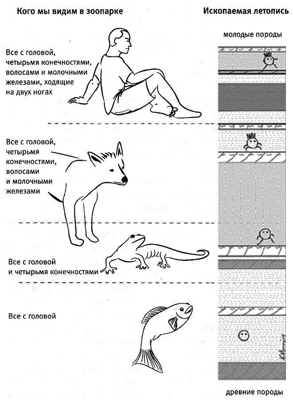 Внутренняя рыба