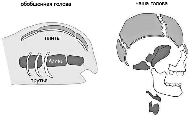 Внутренняя рыба