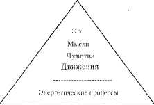 Психология тела: биоэнергетический анализ тела