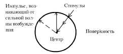 Психология тела: биоэнергетический анализ тела
