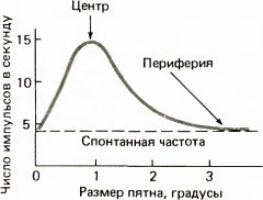 Глаз, мозг, зрение