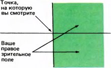 Глаз, мозг, зрение