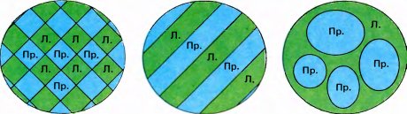 Глаз, мозг, зрение