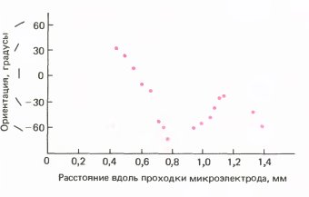 Глаз, мозг, зрение