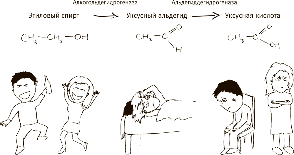 Как мозг заставляет нас делать глупости