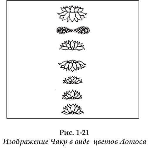 Чакры