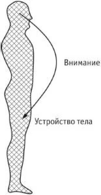 Сила стихий в твоих руках. От человека до эгрегора