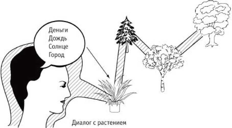 Сила стихий в твоих руках. От человека до эгрегора