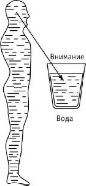 Сила стихий в твоих руках. От человека до эгрегора