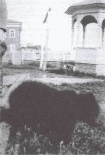 Полковник Ф.Дж. Вудс и британская интервенция на севере России в 1918-1919 гг.: история и мемуары