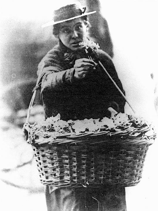 Рассказ цветочница глава. Цветочницы 19 века. Простая Лондонская цветочница. Безумная цветочница. Дэвид Фултон (1848-1930) цветочница.