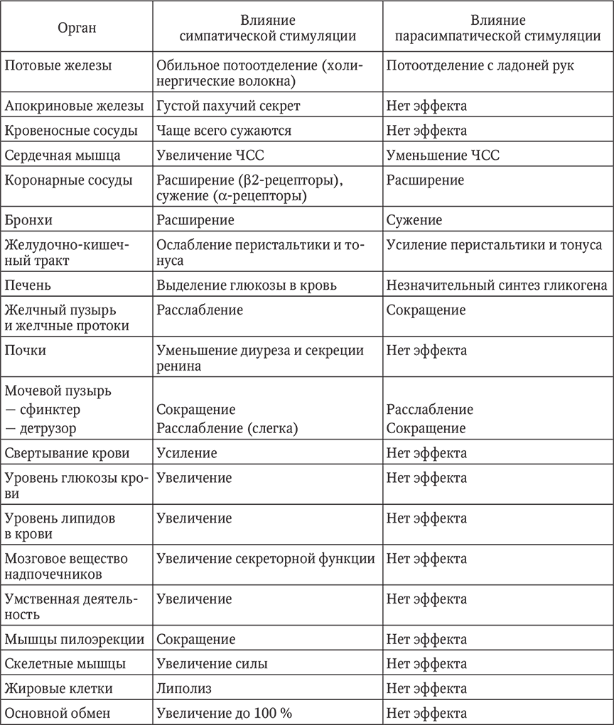 Сравнительная характеристика парасимпатической и симпатической нервной системы. Влияние симпатической и парасимпатической нервной системы. Симпатический отдел ВНС таблица. Симпатическая и парасимпатическая нервная система таблица. Вегетативная нервная система таблица.