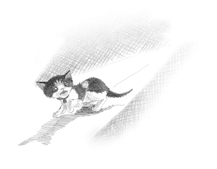 Котёнок Пуговка, или Храбрость в награду