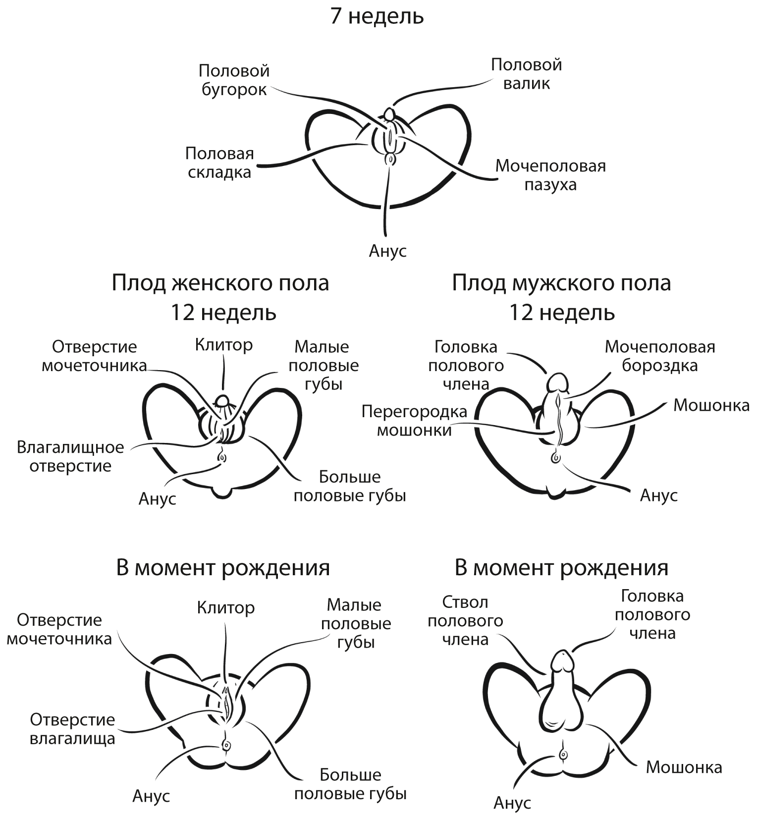 размещение рекламы этом зрелые русские пьяные в порно этом может