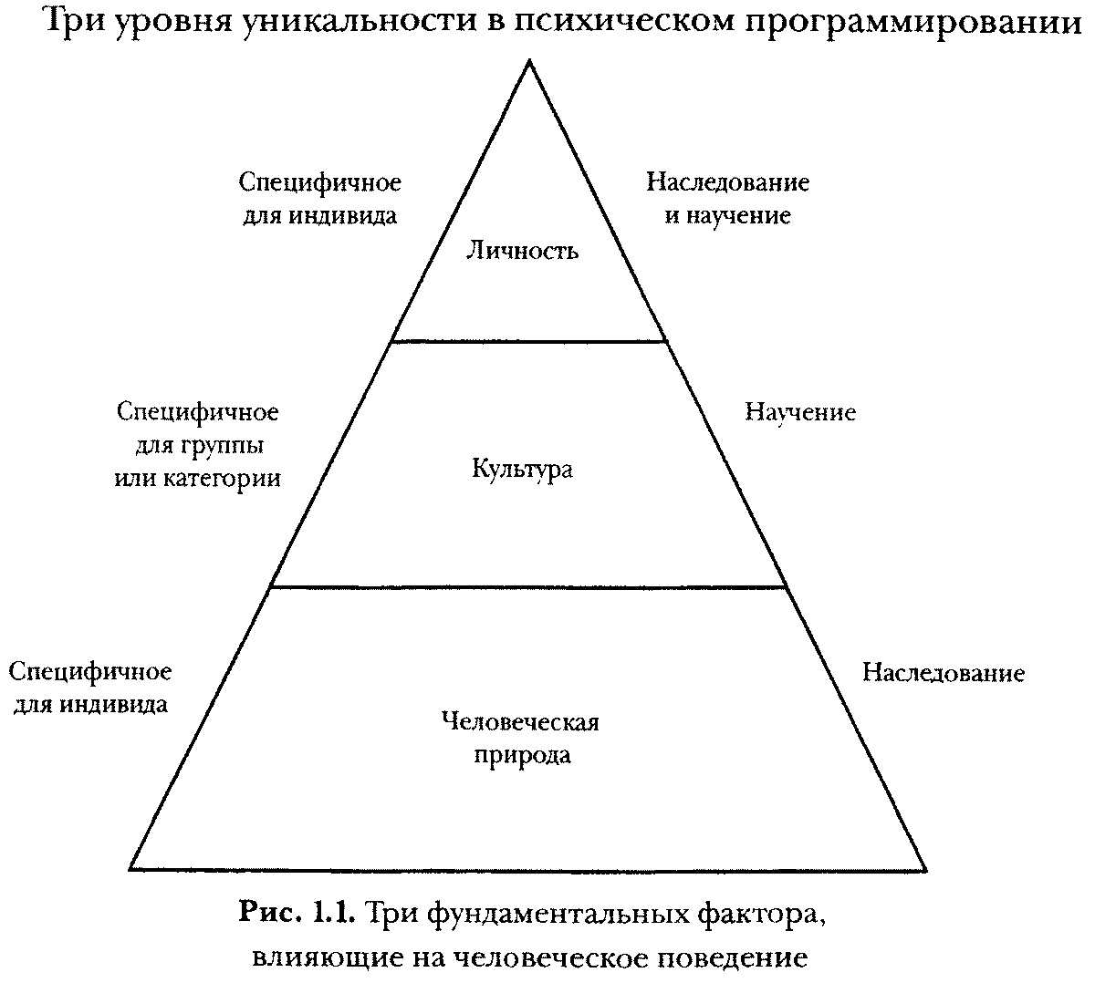 Евреи, конфуцианцы и протестанты. Культурный капитал и конец мультикультурализма