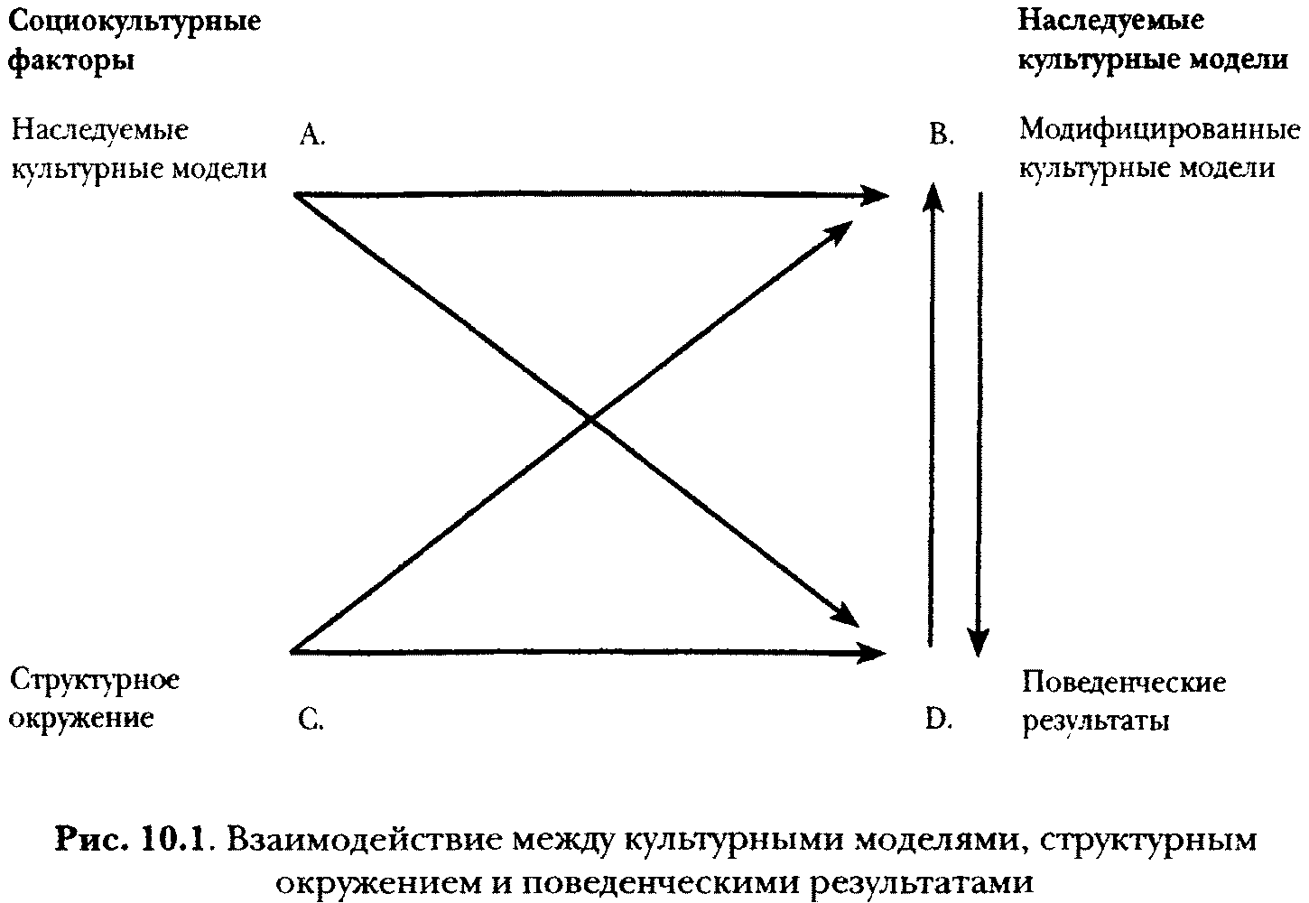 Евреи, конфуцианцы и протестанты. Культурный капитал и конец мультикультурализма