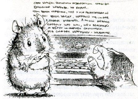 Фредди. Жизнь, полная риска