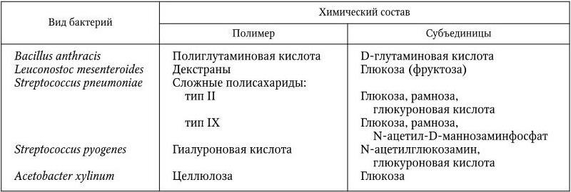 Медицинская микробиология, иммунология и вирусология