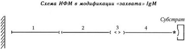 Медицинская микробиология, иммунология и вирусология