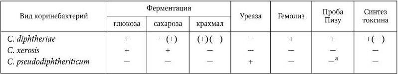 Медицинская микробиология, иммунология и вирусология