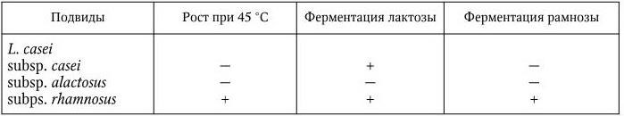 Медицинская микробиология, иммунология и вирусология