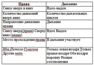 Нади-Виджняна. Внутренняя работа в йогических практиках