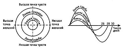 Биологически активные точки. Точка ощущения. Улучшение пищеварения акупунктурные точки. Ощущение это в психологии. Точка ощущения.