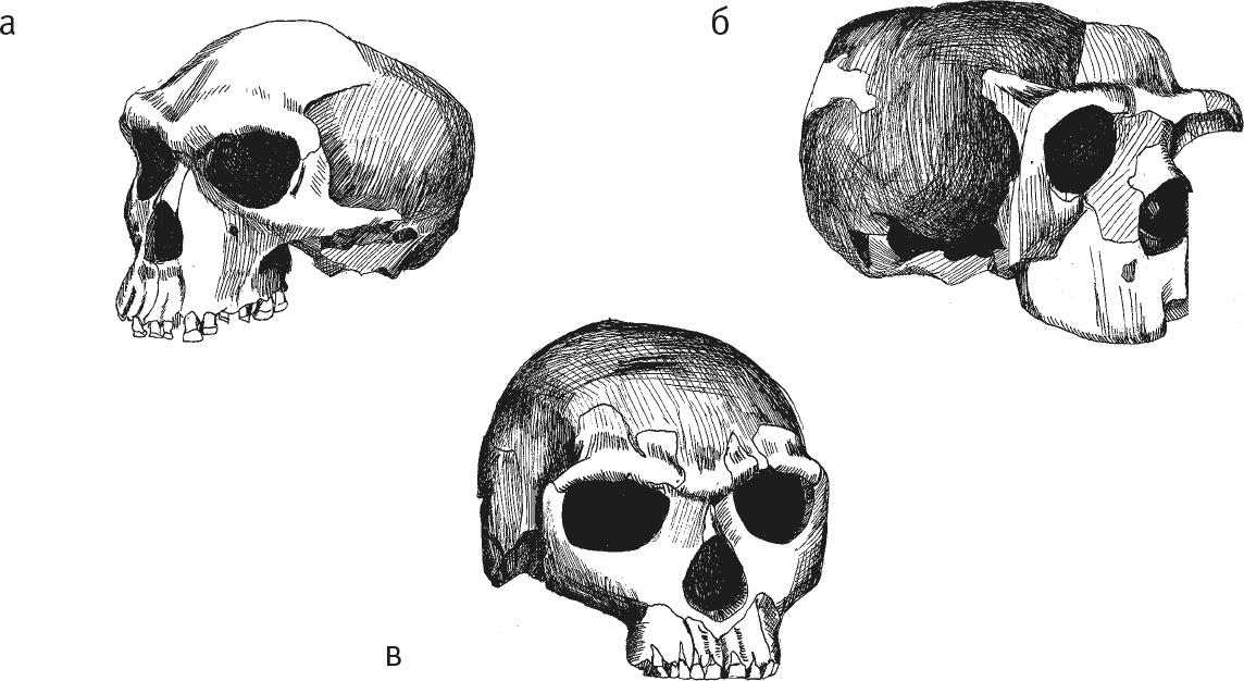 Люди