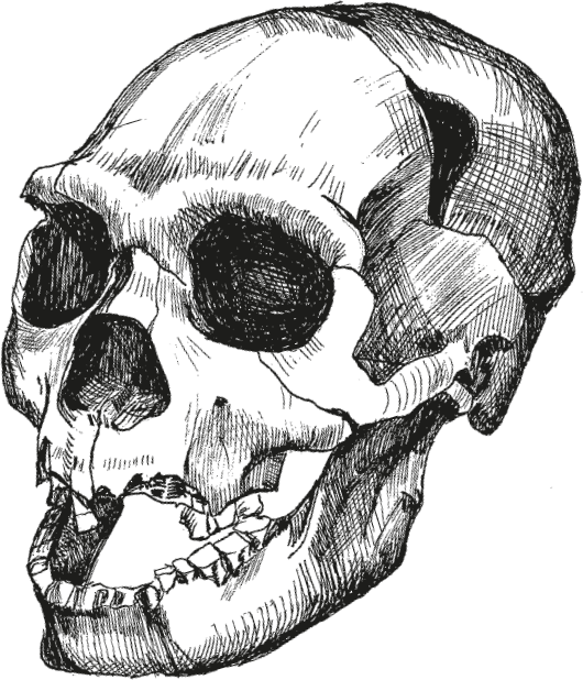 Люди