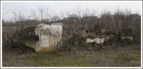 Сердце генерала Гурова