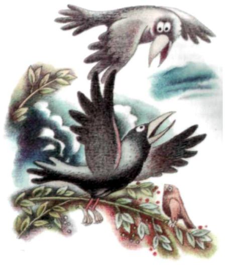 Полудница Акуля