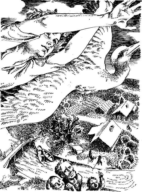 Книга радости — книга печали