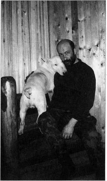 Бультерьер