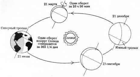 Мозг, разум и поведение