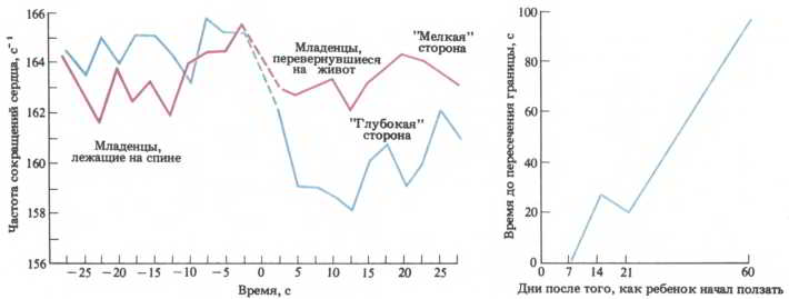 Мозг, разум и поведение
