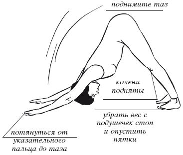 Дыхательная йога. Самые эффективные дыхательные упражнения