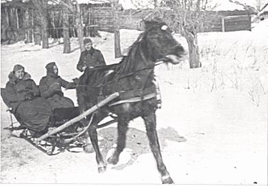 Фотодневник 1941-1943