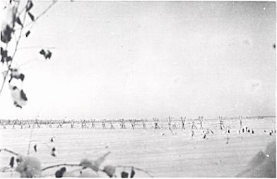 Фотодневник 1941-1943