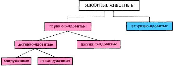 Ядовитые животные и растения СССР