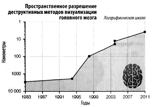 Эволюция разума