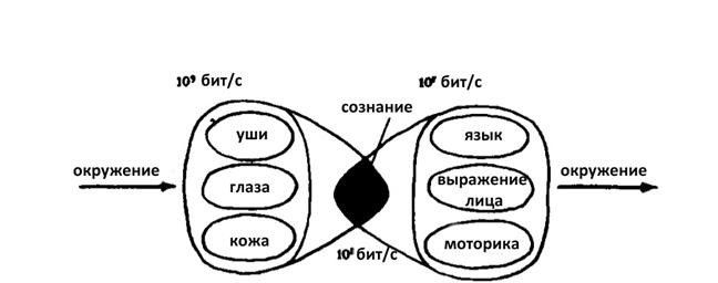 Иллюзия пользователя. Урезание сознания в размерах