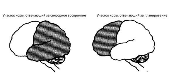 Иллюзия пользователя. Урезание сознания в размерах