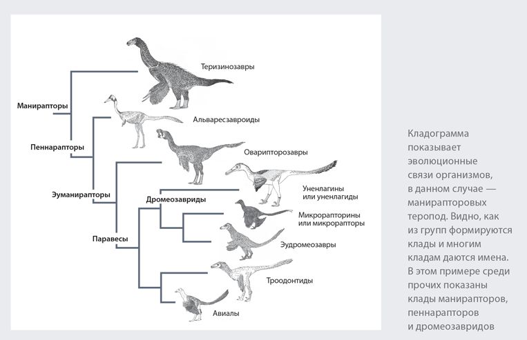 Динозавры. 150 000 000 лет господства на Земле